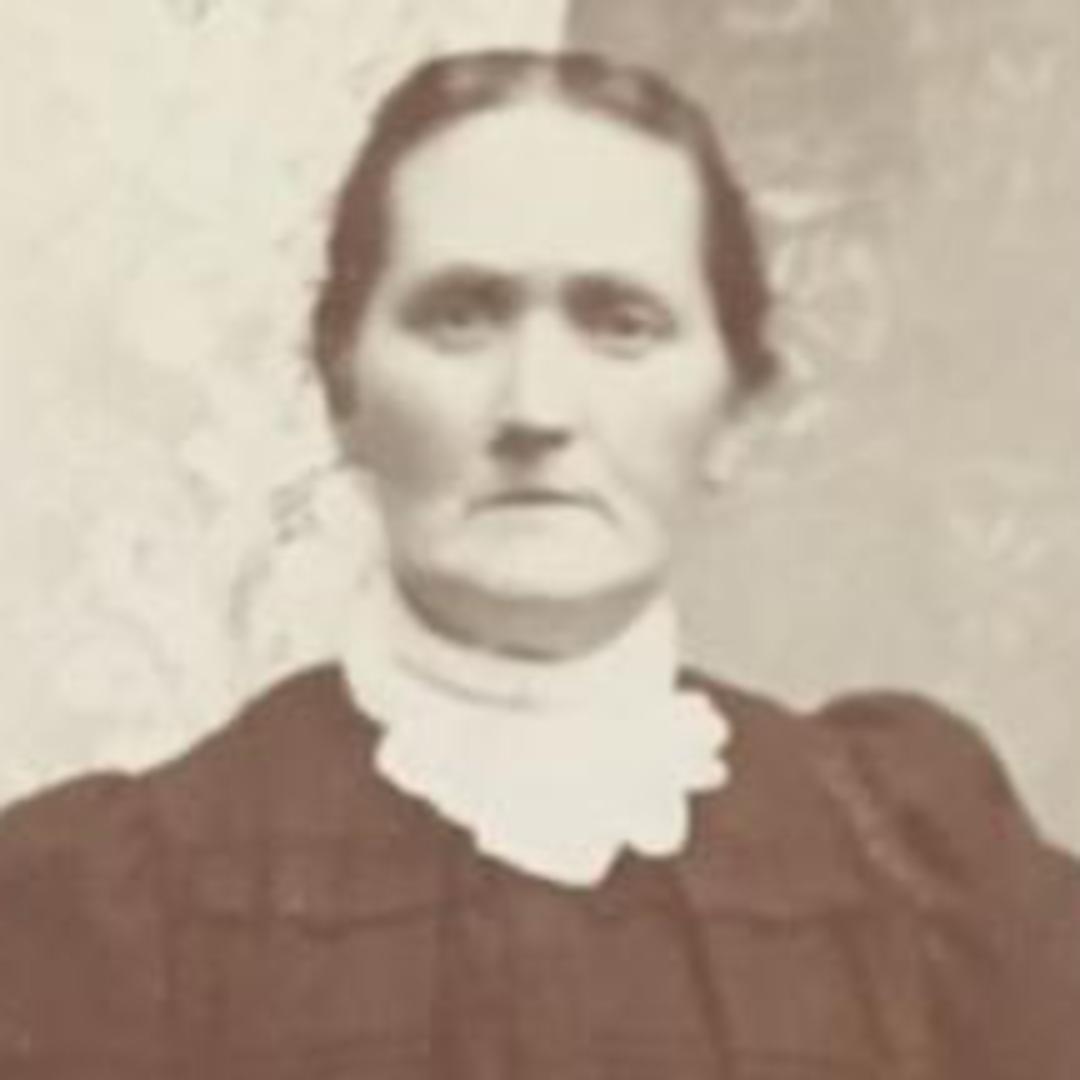 Sarah Elizabeth Spriggs (1849 - 1925) Profile